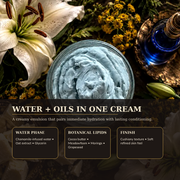 Lily & Tansy Nocturne Body Butter water and oils cream emulsion