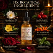 Modern Skyn Alchemy Reborn Fruit Serum six botanical ingredients infographic