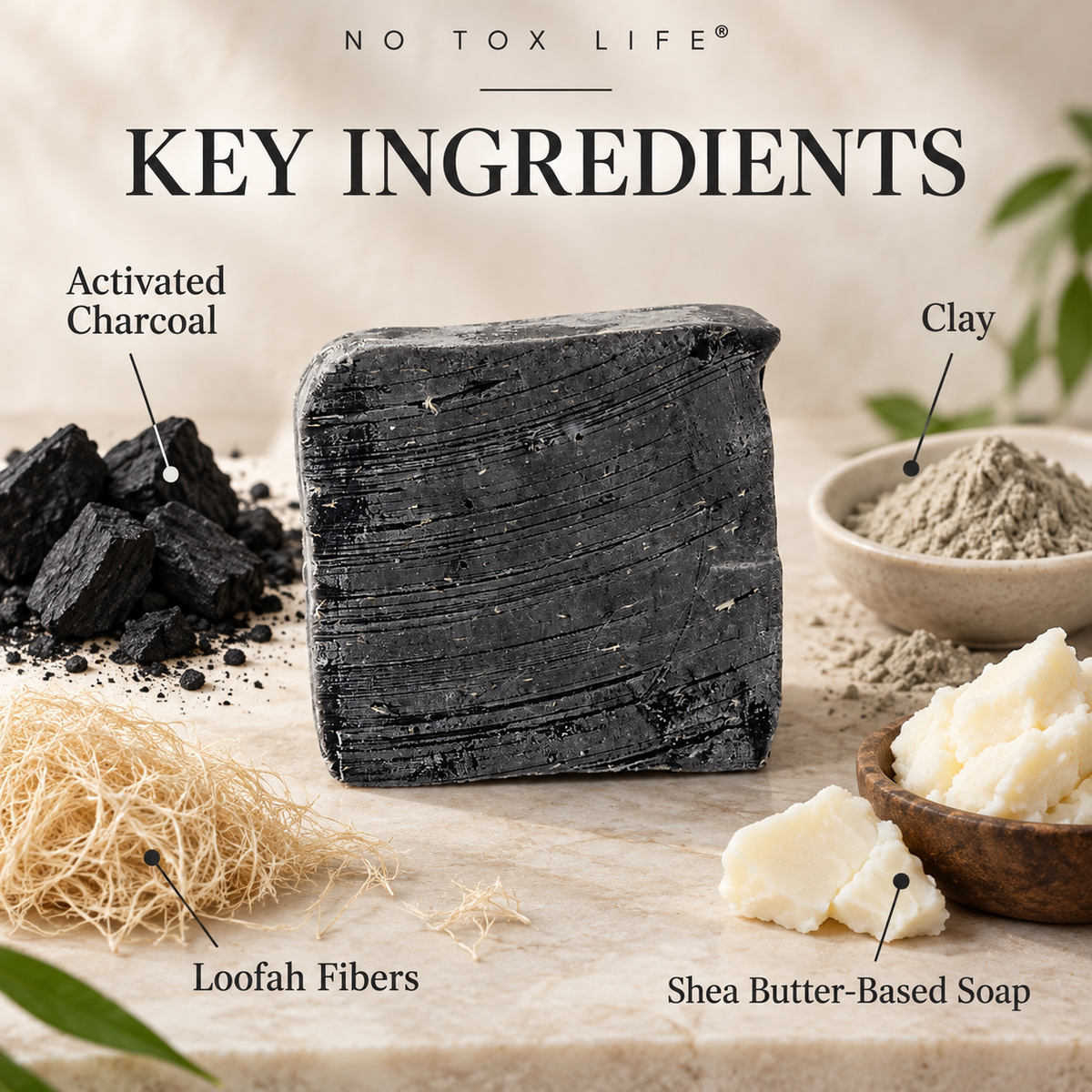 No Tox Life Underarm Detox Bar key ingredients