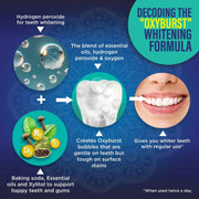 GuruNanda LLC – wholesale Mouthwash – Dual Barrel Oxyburst Whitening Mouthwash, Wild Mint3