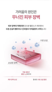 PHYSIOGEL Relief Moisturizer Plus+ 300 mL Skin barrier and moisture loss explanation (Korean)