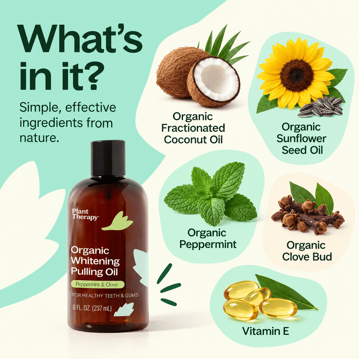 Plant Therapy Organic Whitening Pulling Oil ingredients infographic