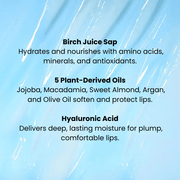 ROUND LAB Moisturizing Lip Balm 20g official product gallery infographic 1