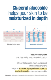 ROUND LAB Birch Juice Mild-Up Sunscreen 50ml source product information: glyceryl glucoside