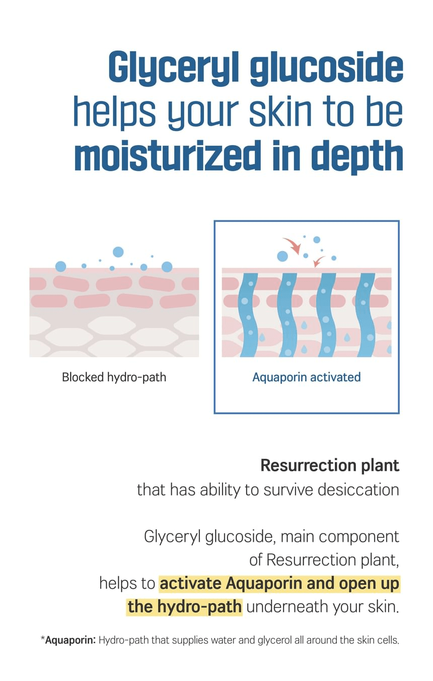 ROUND LAB Birch Juice Mild-Up Sunscreen 50ml source product information: glyceryl glucoside