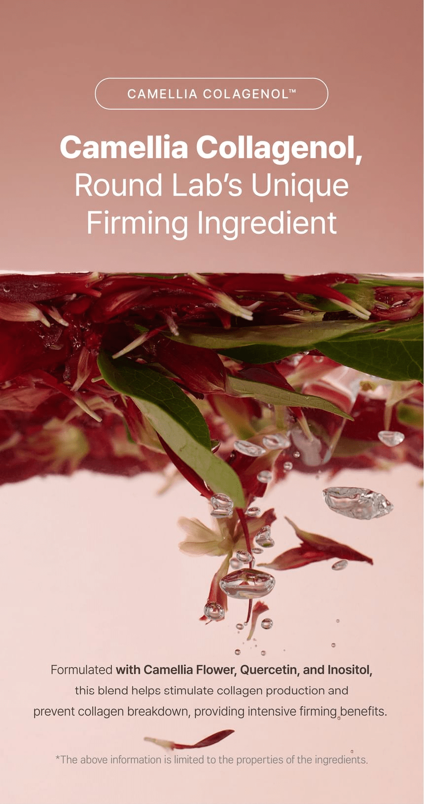 Round Lab Camellia Deep Collagen Jelly Mask Cleanser 150ml - Camellia Collagenol ingredient blend.
