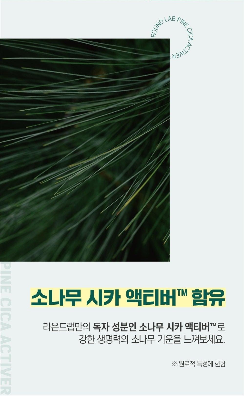 ROUND LAB Pine Calming Cica Feminine Wash 150ml: pine cica information in Korean