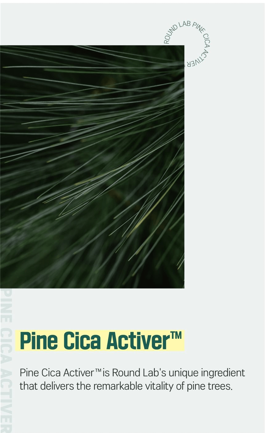 ROUND LAB For Men Pine Calming Cica Cream 75ml: pine cica activer. Original YesStyle product information panel.