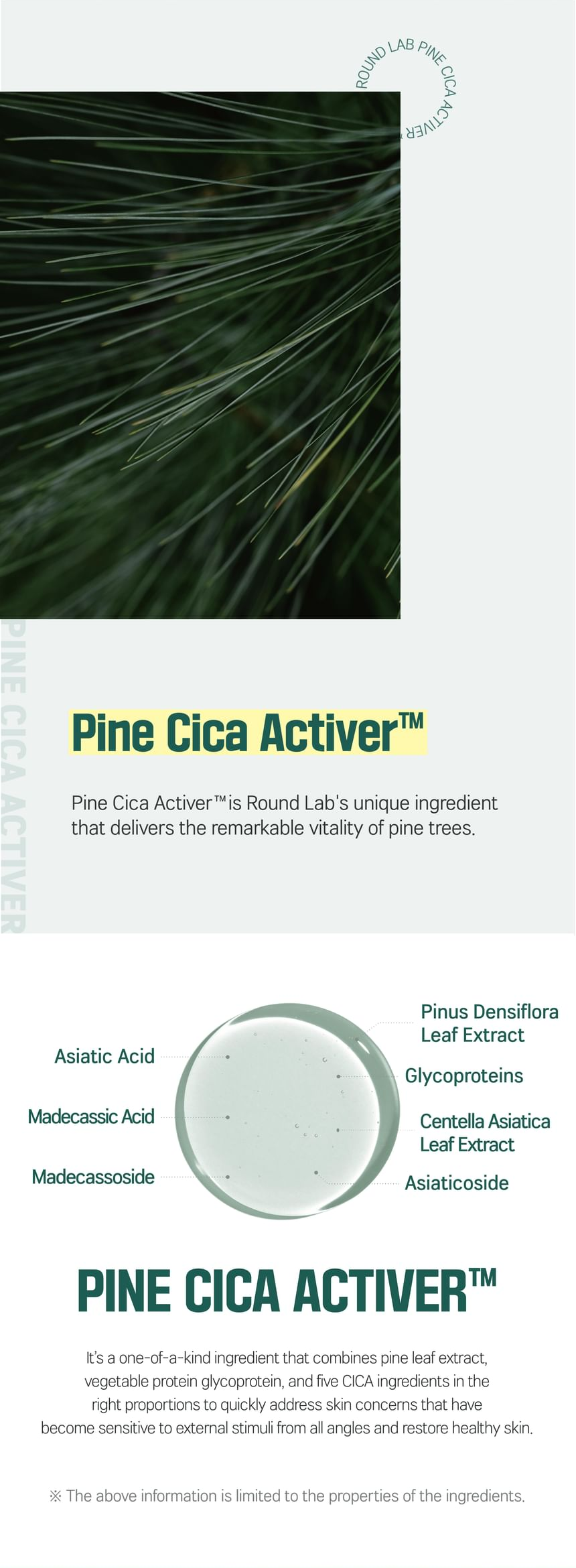 ROUND LAB For Men Pine Calming Cica Lotion — pine cica activer (YesStyle source)