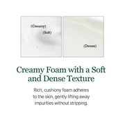 ROUND LAB pine calming cica cleanser official product gallery information 5