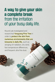 ROUND LAB Pine Calming Cica Lotion 250ml, original YesStyle daily soothing care panel