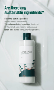 ROUND LAB Pine Calming Cica Lotion 250ml, original YesStyle sustainable pine leaves panel