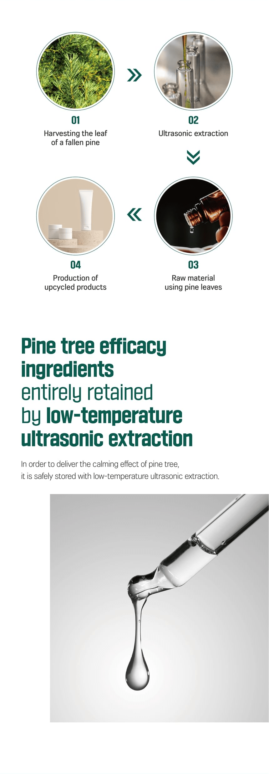 ROUND LAB Pine Calming Cica Lotion 250ml, original YesStyle low temperature extraction panel