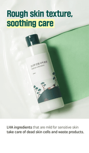 ROUND LAB Pine Calming Cica Lotion 250ml, original YesStyle rough skin texture care panel