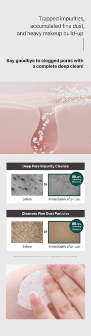 ROUND LAB Pine Cica Deep Pore Clay Mask Cleanser 150ml, original YesStyle deep pore impurity cleanse panel