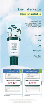 ROUND LAB Pine Calming Cica Sunscreen 40ml: five layer protection tests. English product information from Olive Young.