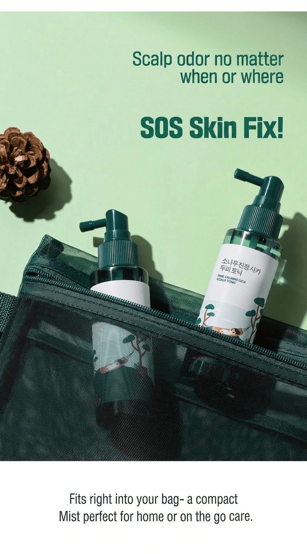 ROUND LAB Pine Calming Cica Scalp Tonic 100ml: portable scalp mist. Original English Olive Young product information.