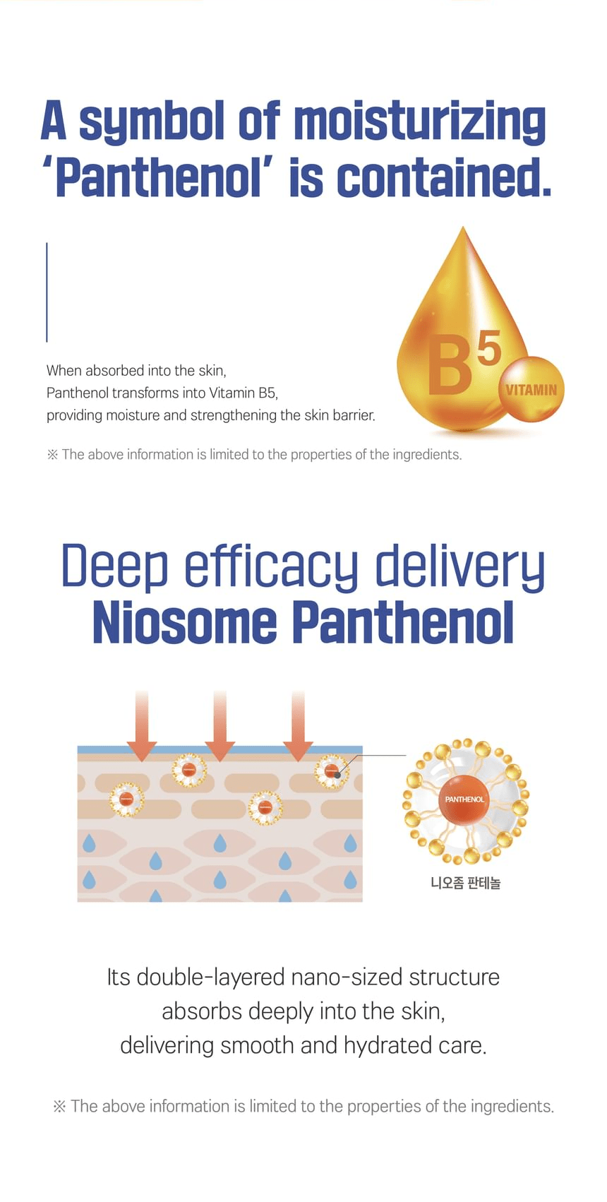 ROUND LAB Soybean Panthenol Cleanser 150ml - niosome panthenol - original YesStyle panel 07