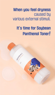 ROUND LAB Soybean Panthenol Toner 250ml, original YesStyle dry skin care information panel