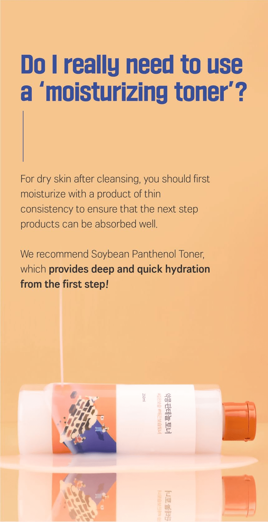 ROUND LAB Soybean Panthenol Toner 250ml, original YesStyle why moisturizing toner information panel