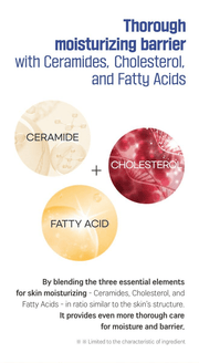 ROUND LAB Soybean Panthenol Toner 250ml, original YesStyle moisture barrier lipids information panel