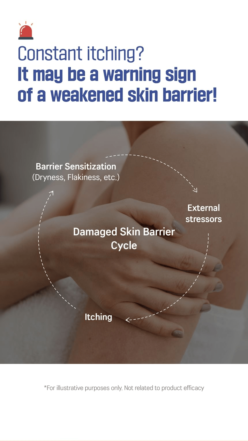 ROUND LAB Soybean QLA Barrier Cream 80ml, original YesStyle skin barrier cycle information panel