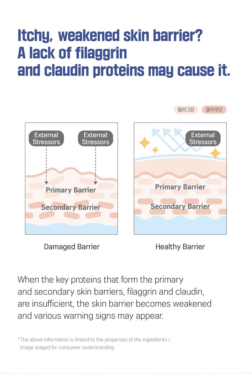 ROUND LAB Soybean QLA Barrier Cream 80ml, original YesStyle barrier proteins information panel
