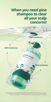 ROUND LAB Pine Calming Cica Shampoo 400ml: scalp care satisfaction study. English product information from Olive Young.
