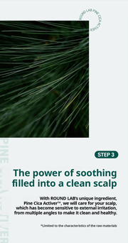 ROUND LAB Pine Calming Cica Shampoo 400ml: pine cica soothing. English product information from Olive Young.