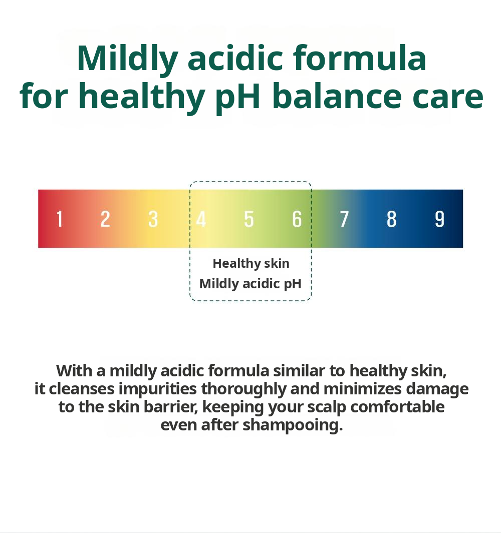 ROUND LAB Pine Calming Cica Shampoo 400ml: mildly acidic ph. English product information from Olive Young.