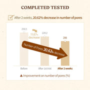 SKINFOOD Acorn Pore Peptide Cream 70mL - Pore-count clinical results (English full gallery)