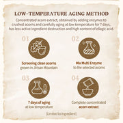 SKINFOOD Acorn Pore Peptide Cream 70mL - Low-temperature aging method (English full gallery)