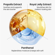 SKINFOOD Royal Honey Propolis Enrich Barrier Cream 63mL original Amazon English propolis royal jelly and panthenol ingredients