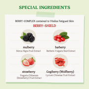 SKINFOOD Berry Soothing Sun Cream 50mL - English product information