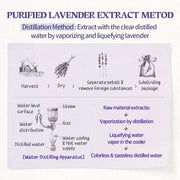 SKINFOOD Lavender Food Mask: English botanical extraction process