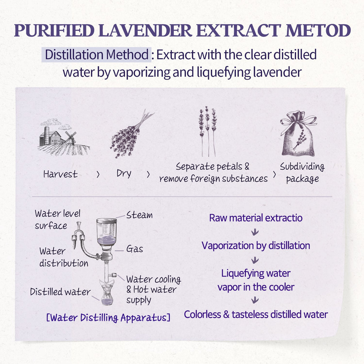 SKINFOOD Lavender Food Mask: English botanical extraction process