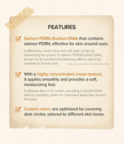 SKINFOOD Salmon Darkcircle Concealer Cream 10g info 02 features