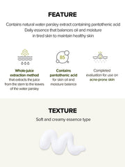 SKINFOOD Pantothenic Water Parsley Silence Essence 70mL - Features and texture