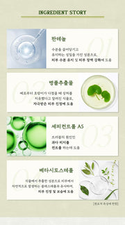 SKINFOOD Pantothenic Water Parsley Ampoule 50mL - Original Korean product information