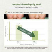 SKINFOOD Water Parsley Smashing Powder English dermatological test results, sebum and oil chart, before and after images with study footnote