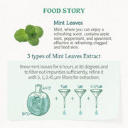 SKINFOOD Pear Mint Food Mask: English texture and product details