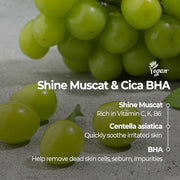 Shine Muscat Cica BHA Food Mask 6.35 oz English product information 2