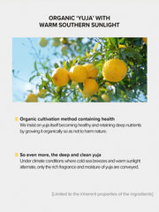 SKINFOOD yuja c serum English product information panel 5