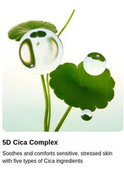 Torriden 5D Cica complex ingredient explanation