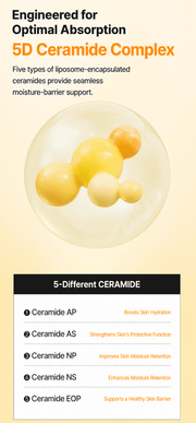 Torriden SOLID IN Cream Toner: five ceramide ingredient explanation