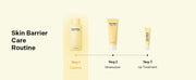 Torriden SOLID IN Essence original English A+ routine