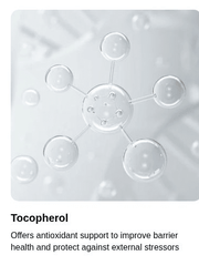 Torriden SOLID IN Essence original tocopherol ingredient explanation