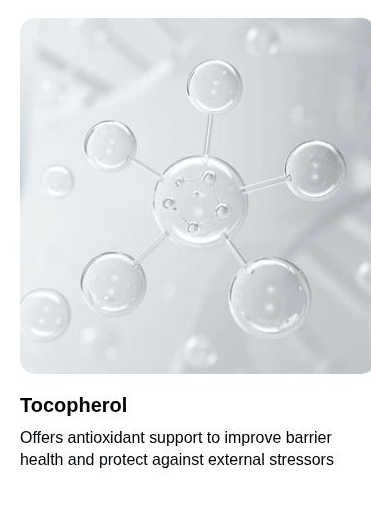 Torriden SOLID IN Essence original tocopherol ingredient explanation