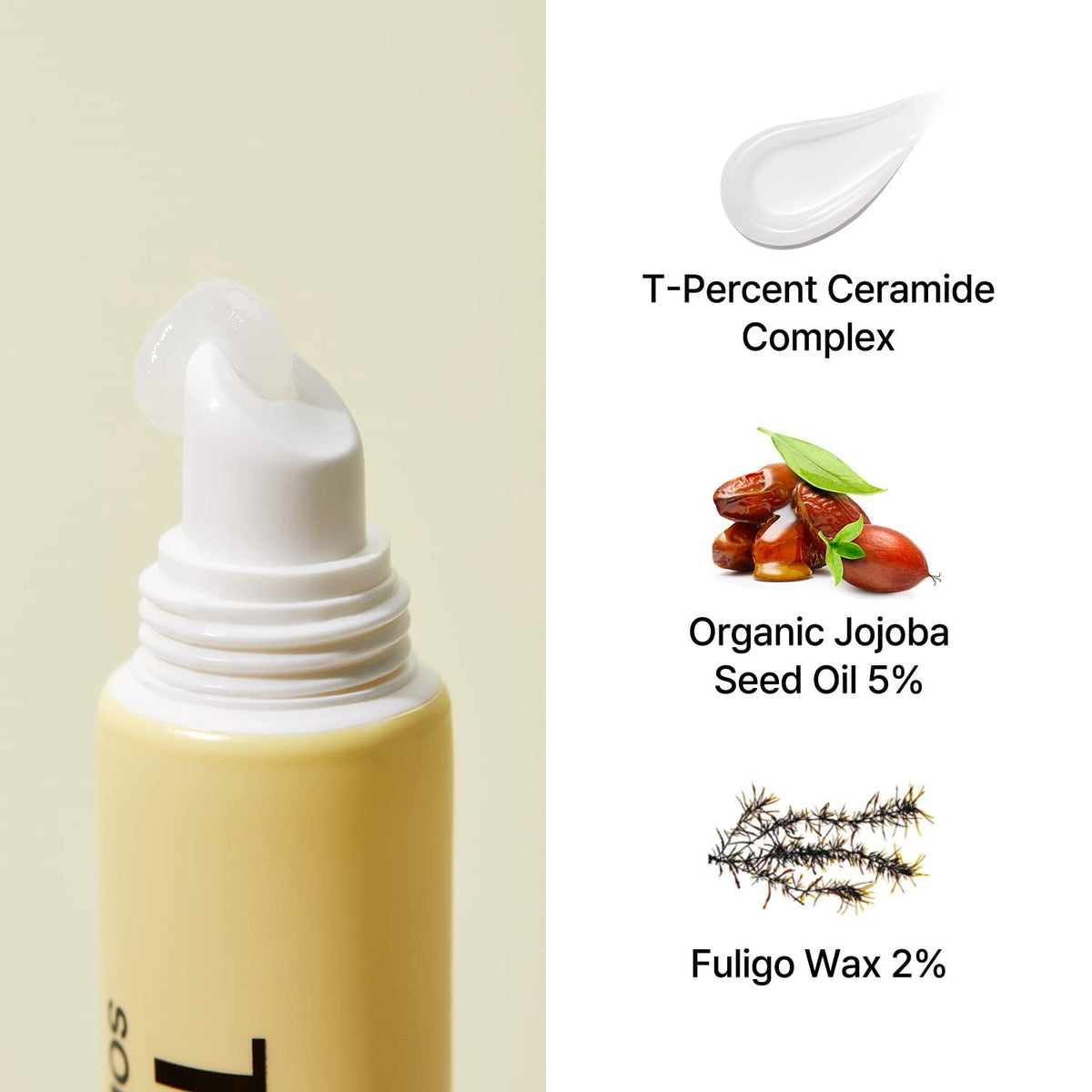 Torriden SOLID IN Lip Essence ceramide and jojoba ingredient panel