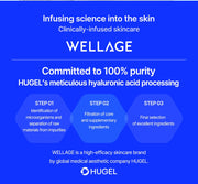 WELLAGE Real Hyaluronic Soothing 100 Cream brand background official information